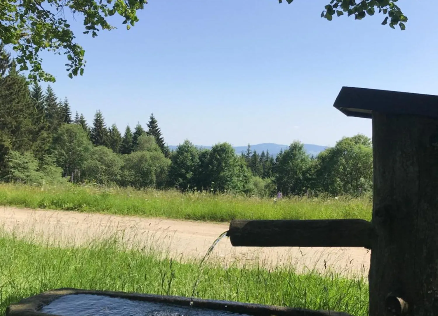 Penzion Zur Neuen Post Landgasthof Herzogsreut